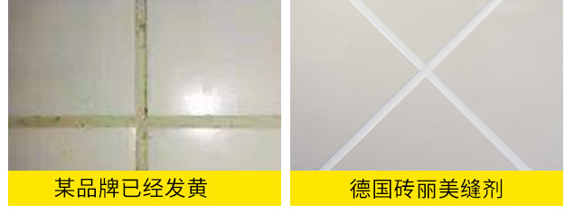 德國磚麗美縫劑_美縫膠_創業_加盟_招商_代理.jpg