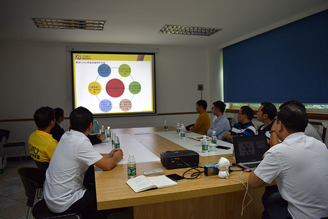 碧桂園領導、專家蒞臨德國CUALI磚麗指導工作