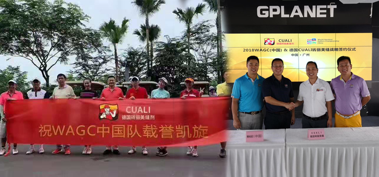 2019年WAGC世界錦標賽總決賽 2019年WAGC世界錦標賽總決賽